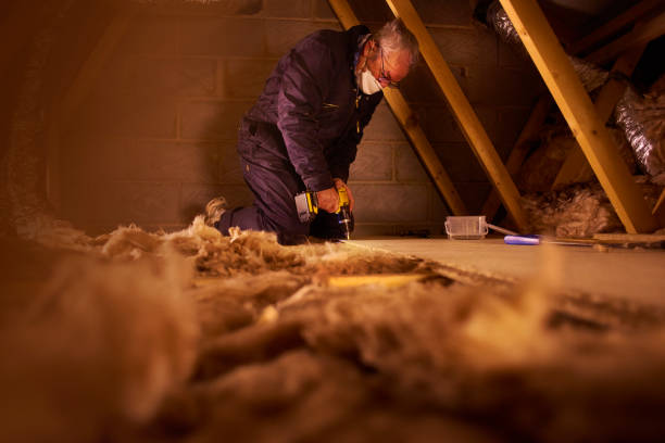 Best Blown-In Insulation  in Wise, VA